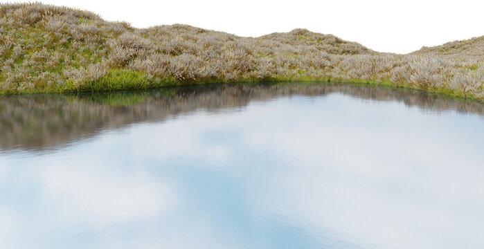 Realistic flower field and river. 3d rendering of isolated objects.
