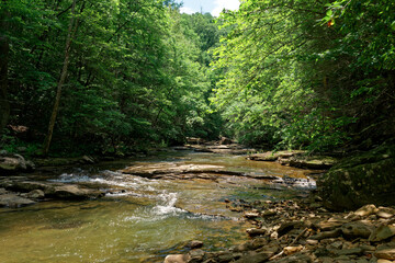 A creek in the Tennessee mountains
