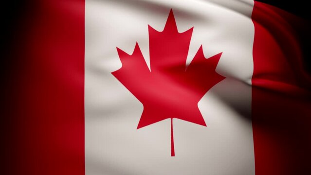 Waving Canadian mapple leaf flag. High contrast dark look. Slow motion Canadian national flag shot.