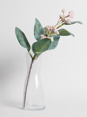 Planta en jarr&oacute;n de cristal