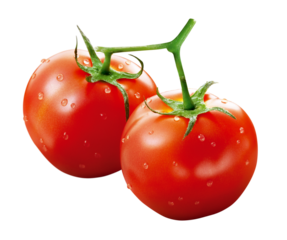 tomates vermelhos suculentos molhados isolado em fundo transparente