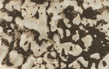 Hand Painted Abstract Watercolor Background. Watercolor Grunge Texture Abstract Designs. Vintage Texture Background Made by Coffee.