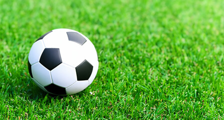 Fototapeta premium ball in the middle of a beautiful soccer field with amazing green grass