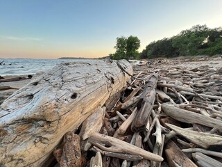 Fototapeta na wymiar stump on the shore