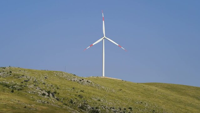 Wind energy tribunes that produces electricity with natural resources