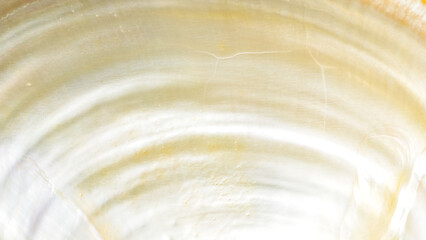 abstract pearl white texture background