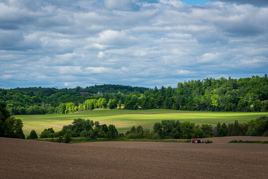 Sunlit fields with trees expressive clouds