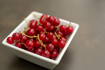 Frische Johannisbeere nach dem Ernten in weisser Schale mit textfreiraum