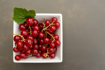Frische Johannisbeere nach dem Ernten in weisser Schale mit textfreiraum