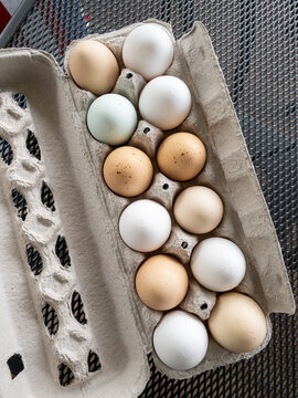 multi-colored farm-fresh eggs in an egg carton