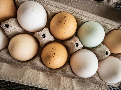 multi-colored farm-fresh eggs in an egg carton
