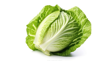 photorealism of cabbage isolated on white background,Ai generative.