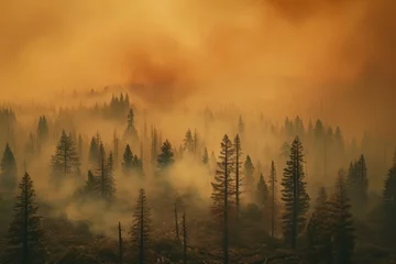 Crédence en verre imprimé Forêt dans le brouillard A powerful photograph of a forest engulfed in thick smoke from wildfires, emphasizing the urgent need for forest fire prevention and conservation. Generative Ai