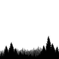 silhouette of winter forest background