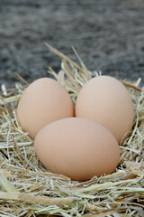 closeup the bunch pink brown hen eggs with nest soft focus natural grey brown background.