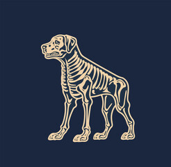 Obraz na płótnie Canvas Vector illustration of a dog with visible skeleton