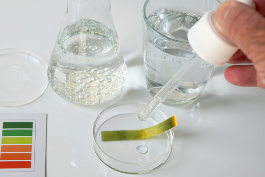 test strip with water sample, water PH testing