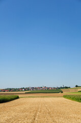 Fototapeta na wymiar Landscape in the summer in Germany. With barley (Hordeum vulgare) and a village in southern Germany