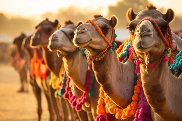 Foto op Plexiglas A row of beautifully adorned camels during a desert festival, Indian culture, Indian Generative AI © Kateryna Arkhypova