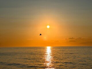 Beauty of the creation