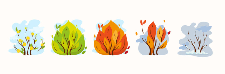 Four-season bush. Bush with spring flowers, green foliage of summer, bright autumn leaves, and branches covered with snow. Good for educational materials or eco environment save concept.