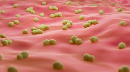 Skin mycosis, Candida yeast causing skin infection