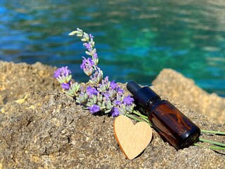 Lavender flowers and vial with oil on sea stone.