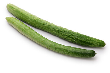 Cucumber (Asakaze), Kyoto traditional vegetable
