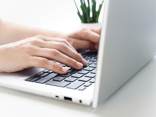 A person typing on a laptop with a plant in the background
