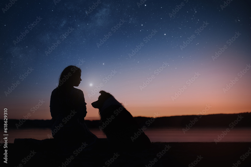 Wall mural black silhouettes of a girl and border collie dog on the star night background