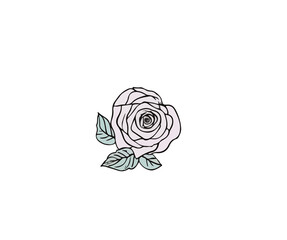 Vector illustration of wild rose on isolated background	