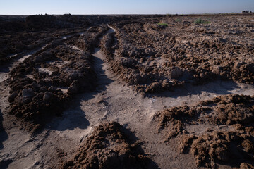 photo of salt pan on the surface of bog ground fields