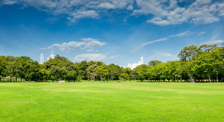 Fototapeta na wymiar beautiful park with beautiful trees in the background
