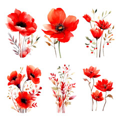 Fototapeta na wymiar Set of red floral watecolor. flowers and leaves. Floral poster, invitation floral. Vector arrangements for greeting card or invitation design 