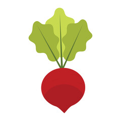 Isolated colored radish icon Flat design Vector