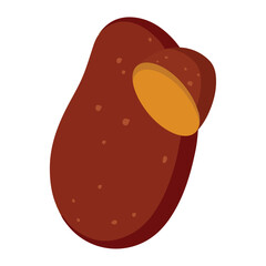 Isolated colored potato icon Flat design Vector