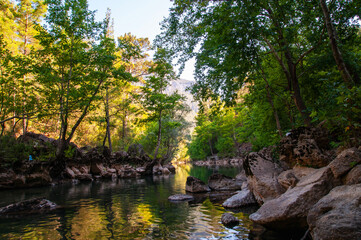 River in the forest.
