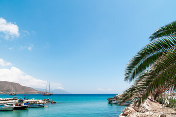 Beach with palm trees.
