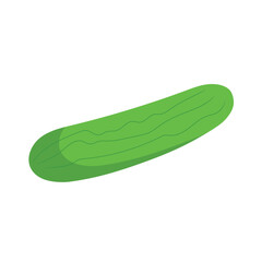 Isolated colored cucumber icon Flat design Vector