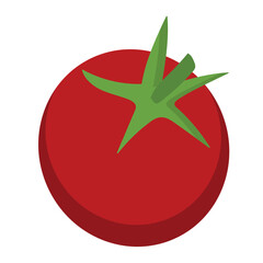 Isolated colored tomato icon Flat design Vector