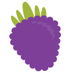 Isolated colored grapes icon Flat design Vector