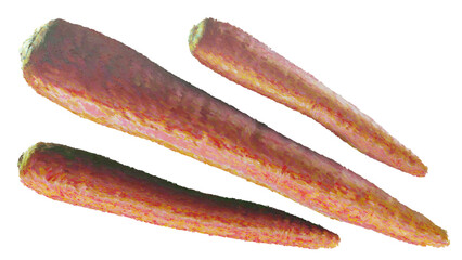 Set of bunch ripe carrots. oil painting style bright hand-drawn illustration isolated on transparent background.