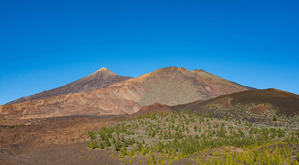 amazing landscape in El Teide national park