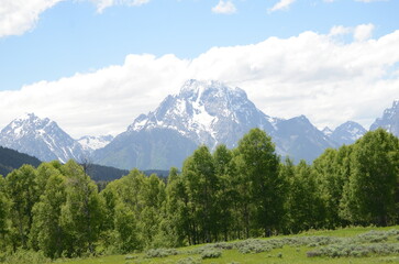 landscape in the mountains