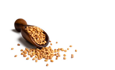 Mahlep, Mahlab or Mahaleb seeds isolated on white background