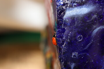 Ladybug on a crystal macro