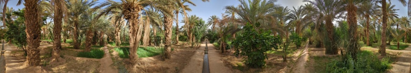 Fototapeta na wymiar Walking through the Igrane garden near Merzouga, a typical agricultural oasis with small canals