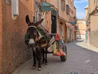 Zelfklevend Fotobehang A donkey with a cart waiting for its master in the medina of Marrakech © imagoDens