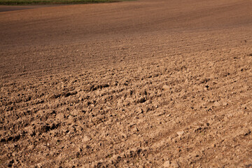 Row plowed field, sown with cereals or prepared for planting.