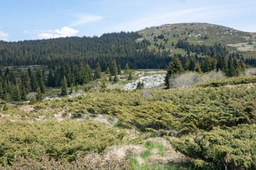 Spring view of Konyarnika area at Vitosha Mountain, Bulgaria